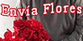 Florerias Premium Florist, flores a Mexico, Colombia, Chile, Brasil, Ecuador, Peru, Uruguay, Miami, Texas, USA, Guatemala, Nicaragua, flowers