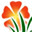 Logo de www.premiumflorist.com.mx